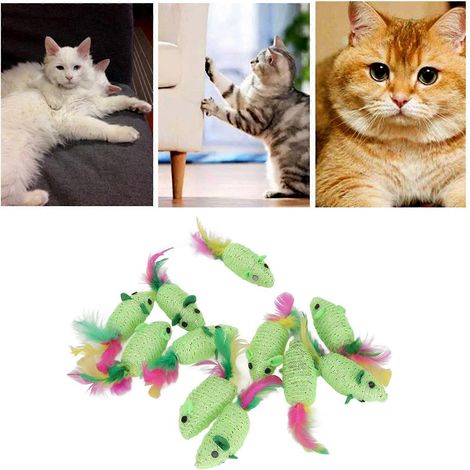 Set mit 11 Katzenmäusen, interaktives und multifunktionales Quietschspielzeug für Katzen und Kätzchen, grün (1/5)