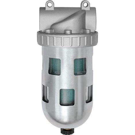 Riegler Spezialfilter »Standard«, PC-Behälter und Schutzkorb, BG 2, G 3/8 (1/4)