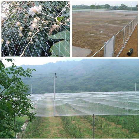 10M x 4M Filets de Jardin Anti-Oiseaux Maille de 2,5cm- Filet de Protection pour Bassin d'eau, Fruits, Légumes et Plantes (1/4)