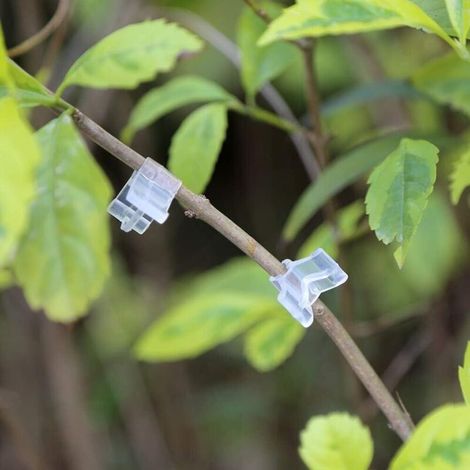 100pcs Clips de Greffage pour Plantes, Pince de Greffe pour Tomate et Aubergine, Support en Plastique (1/4)