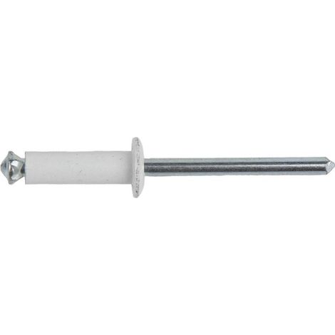 COFAN remache de flor blanco 4 x 20 mm   caja 500 unid. , Remache de apertura en flor, con la cabeza ancha para mejor fijación. Ideal para la colocación de matrículas, chapas y rem (1/3)