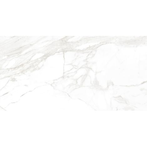 Mexen Faro Gris grès émaillé rectifié G1, carreau sol-mur 120 x 60 cm, brillant - TL138-120-060-00 (1/5)