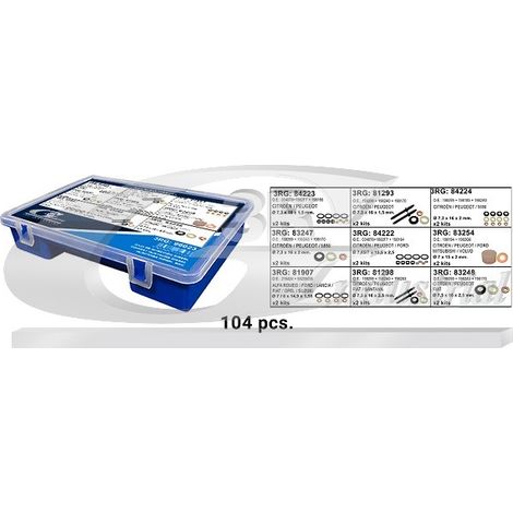 3RG 96023 CAJA INYECCION DIESEL (104 PCS)