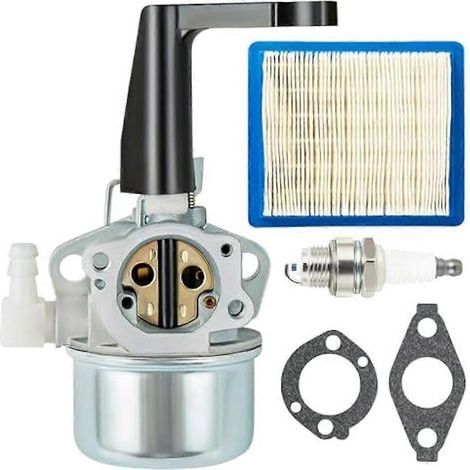 Carburateur 696065 697422 pour moteurs Briggs & Stratton 110402 110412 215369 5 CV 5,5 CV 6 CV 6,5 CV 7 CV (motoculteur) (1/5)