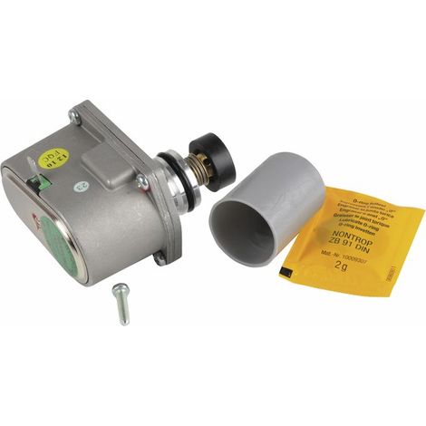 Motore G20