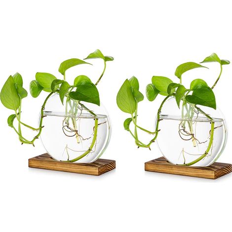 Jardinière en Verre à Suspendre De Table Pcs De 2 Station De Propagation Vase à Bouton De Fleur Moderne en Support en Bois pour Plantes Hydroponiques Boutures Bureau (1/5)