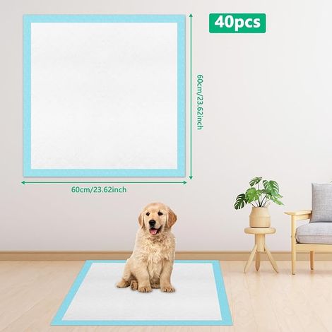 Dog Bed Mat, 60 x 60 cm, Dog Cleanliness Mat, Training Mat, Waterproof, Leak-Proof (1/4)