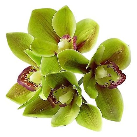 Fleur en soie artificielle, imitation exquise et pratique au toucher ultra réaliste, cymbidiumvert (1/5)