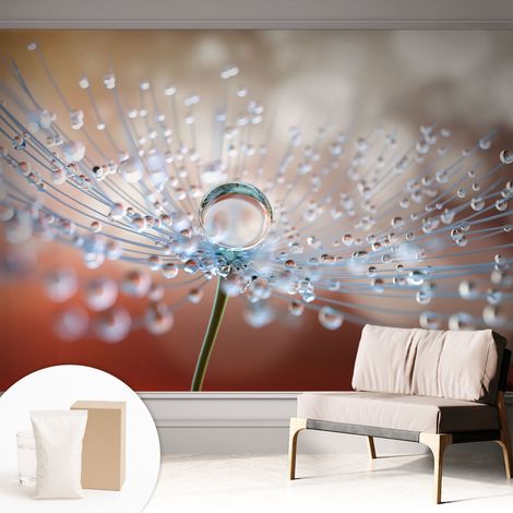 Tapete Vliestapete mit Kleber - Wandgestaltung - Tapete Wohnzimmer - Flur Eingangsbereich Ein Tropfen auf einer Pusteblume 312x219 cm (1/5)
