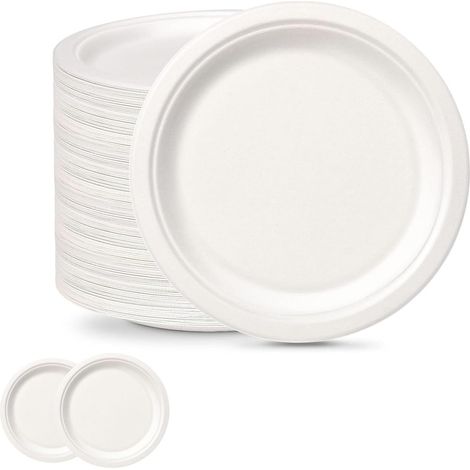 100 Assiettes en Carton Blanc, 7 Pouces assiettes en bagasse Biodégradable,Compostable Vaisselle Jetable Canne à Sucre assiettes en Papier pour Fêtes,Pique-niques,Maison les Aliments Chauds et Froids (1/5)