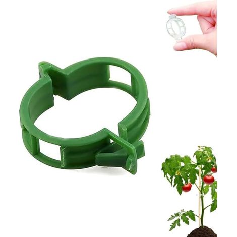 Garden plant support clips - Plastic supports for flowers and plants, especially for tomatoes, seedlings and seed potatoes - Special for spring gardens (Green, 100 pieces) (1/5)