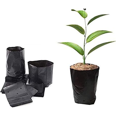500pcs pot de pépinière en plastique contenant de propagation de plantes 8cmx8cm (1/5)