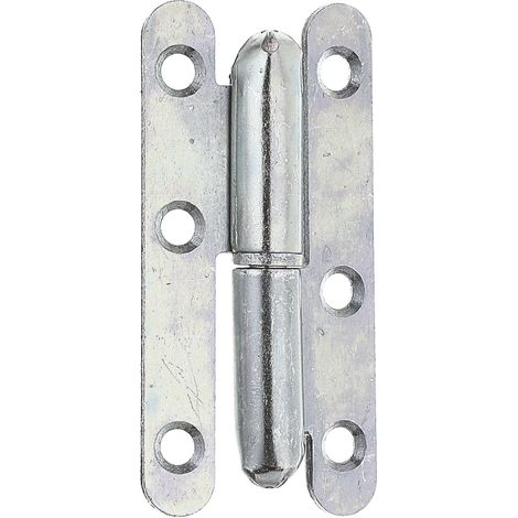 Paumelle universelle type Paris 80 x 40 mm – Acier galvanisé bleu – Utilisable à gauche ou à droite – Marque Alberts (1/2)