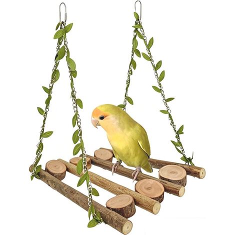 Balançoire en bois naturel pour oiseaux perruches perroquets (1/5)