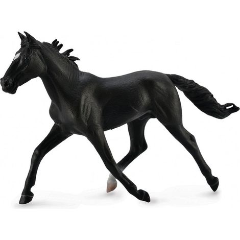 Stallone Standardbred nero, razza Pacer
