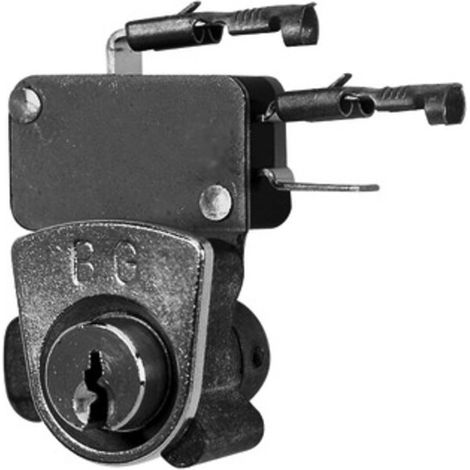 Fermax POSTSCHLOß INCL.ROSETTE (P1)