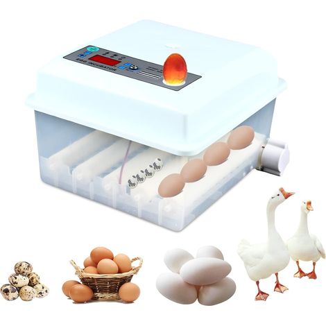Incubadora automática de 16 huevos, máquina de eclosión digital automática para hogar, laboratorio o una pequeña granja para incubación de huevos de pollo, pato, ganso, aves, palomas, codornices (1/5)