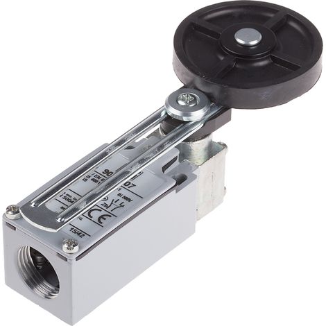 Interrupteur de fin de course RS PRO, Levier à galet réglable, NO/NF, 10A, 400V ( Prix pour 1 ) (1/2)