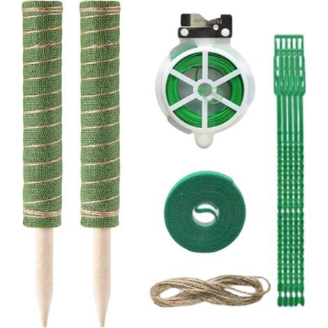 Tuteur Mousse - Outil Jardinage Maintien Humidité - Tuteur Support Végétal pour Pothos Philodendron d'intérieur Pot jardinière Balcon Jardin intérieur et (1/3)