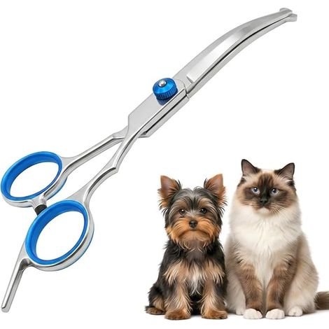 Ciseaux de Toilettage pour Animaux, Tête ronde de sécurité (1/3)