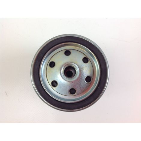 Filtro olio motore diesel LOMBARDINI LDA450 LDA510 3LD450 3LD510 2175.028