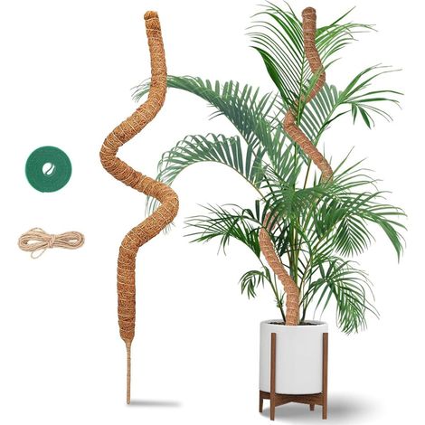 120cm Tuteur Monstera - Tuteurs Plante Grimpante - Tuteurs Coco Flexible - Tuteur Plante avec Corde de Jute et Fermeture Autoagrippante - Convient à la Croissance de la Monstera et d'autres Grimpantes (1/5)