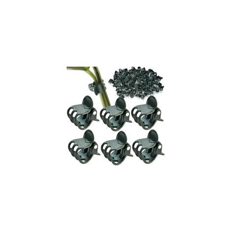 100 clips pour plantes, clips pour orchidées, clips de support pour orchidées, clips pour vignes, clips de support pour tiges (1/5)