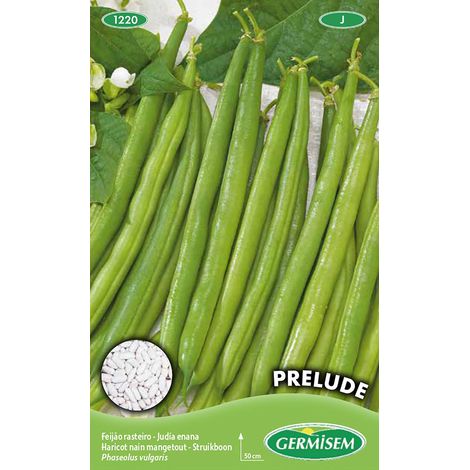 Graines de Haricots Français 100 g