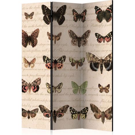 Paravent 3 Volets "Retro Style : Butterflies" 135x172cm (1/2)