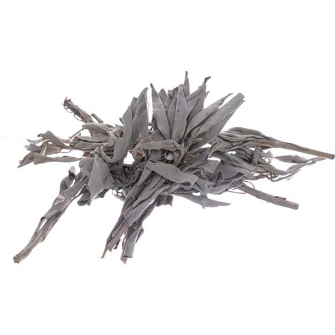Bilovit - Foglie di salvia bianca 50 g