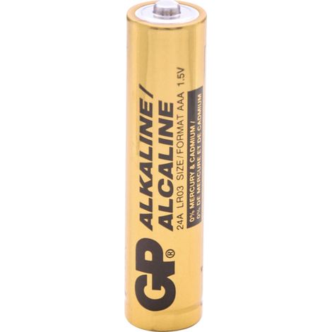 GP GPIND24AB Pile LR3 (AAA) alcaline(s) 1.5 V 1000 pc(s)