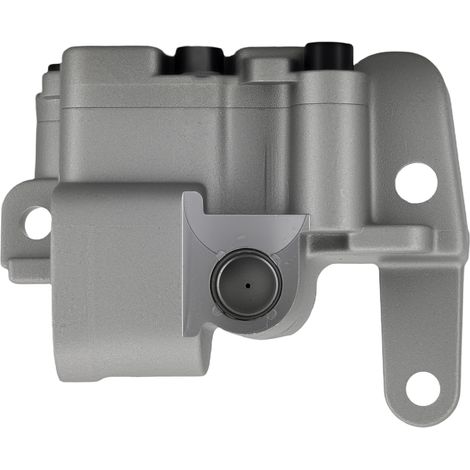 Ölpumpe for Audi A3 A4 A5 A6 Q5 TT VW Passat Seat Dodge Skoda Superb 2.0 TDI (1/5)