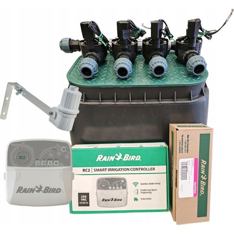 Kit Rain Bird a 4 sezioni: collettore dritto, RC2, RSDBex, pozzetto, PE 25 (1/5)