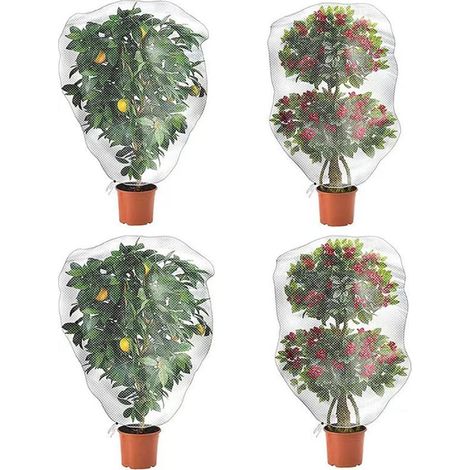 Quatre sacs à plantes- filet anti-oiseaux pour arbres fruitiers et plantes- avec cordon de serrage- filet anti-insectes- maille fine- pour protéger les légumes- les fleurs et les fruits (80 x 80 cm). (1/5)