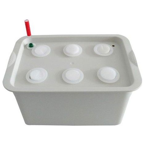 Kit hydroponique - 6 trous - Gris - Plastique durable - Sans terre - Croissance rapide - Économise eau et terre (1/5)