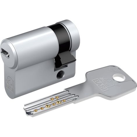 BASI BM CYLINDRE DE PORTE/CYLINDRE DE SERRURE AVEC CLÉ RÉVERSIBLE, SYSTÈME DE FERMETURE IDENTIQUE, COMBINABLE LIBREMENT, PROTECT