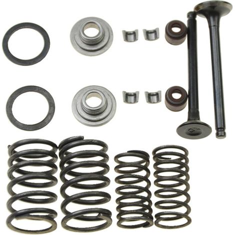 Kit de réfection des soupapes moteur GY6-50 pour moteurs 50 cm3, motos et karts (1/5)
