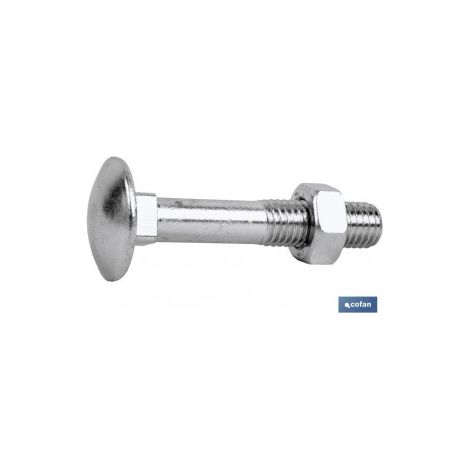 Pack mit 50 DIN-603/934 M-6X100 Z Schrauben aus verzinktem Stahl