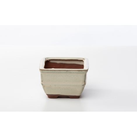 Vaso bonsai quadrato 10 cm smaltato avorio (1/2)