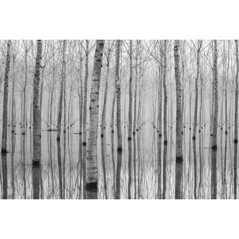 papier peint panoramique arbres gris - Sanders & Sanders (1/3)