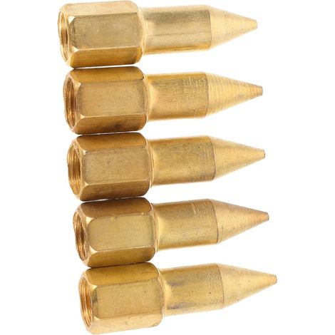 Embouts de Buse en Cuivre Accessoires Solide pour Graissage (1/5)