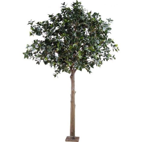Camelia japon factice H300cm Tronc bois Feuille tergal L230cm platine