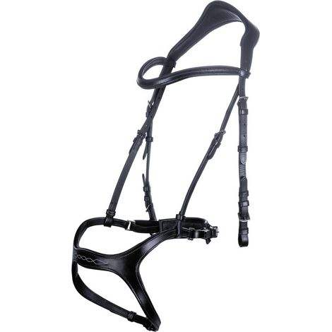 Pony, Schwarz 9100: Englischer Lederzaum mit breitem Nackenteil komplett mit Stoffzügeln Modell Anatomics Sports (1/5)