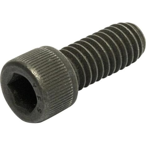 Vis BRIGGS & STRATTON 7091738SM (1/3)