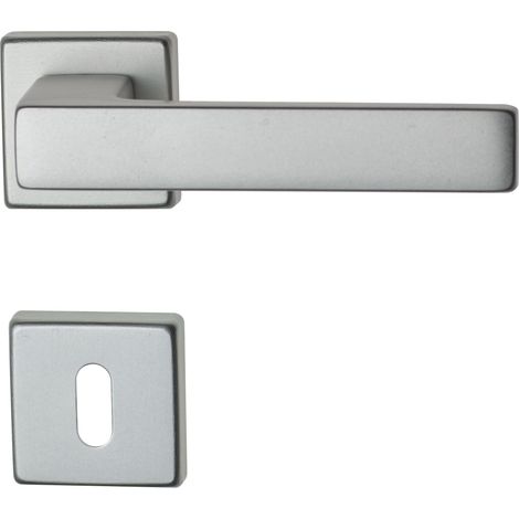Ghidini maniglia carlo con rosetta patent alluminio anodizzato argento - Ghidini