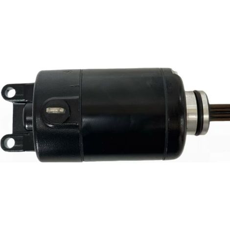 31100HC8100 ist ein Motorzubehörteil für GD250R und GD250 15-21. (1/4)