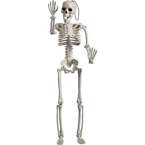 Ganzkörper-bewegliches kleines Skelett aus Kunststoffknochen für Halloween, drinnen und draußen