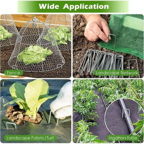 50 Piquets de Jardin avec 50 Rondelles, Sardines de Fixation en Acier 150 x 36mm x 3mm pour Toiles de Paillages et de Jardinage (1/5)