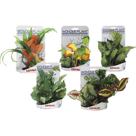 Set 10 pezzi Wonder Plant Series E 15-25 cm forme e colori assortiti