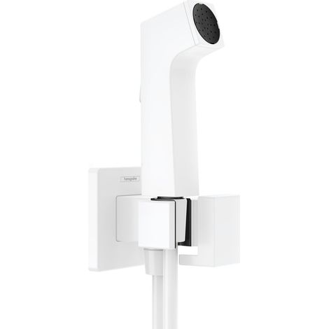 hansgrohe Bidette ducha de mano 1jet E EcoSmart para agua fría,